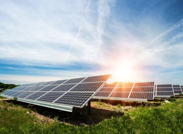 Veld met zonnepanelen