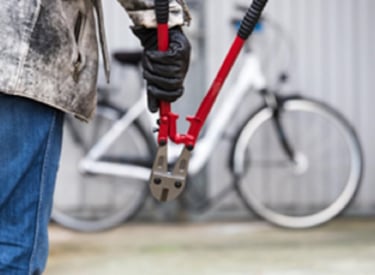 Diefstal fietsen