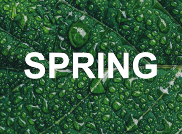 Foto de SPRING