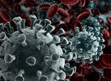 coronavirus