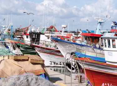 barco pesquero