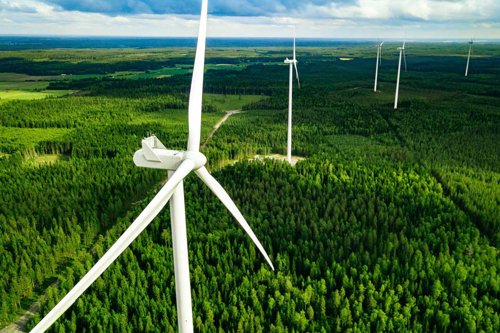 open plan of a forest with wind turbine generators