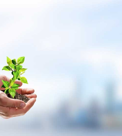 Corporate Social Responsibility (CSR)