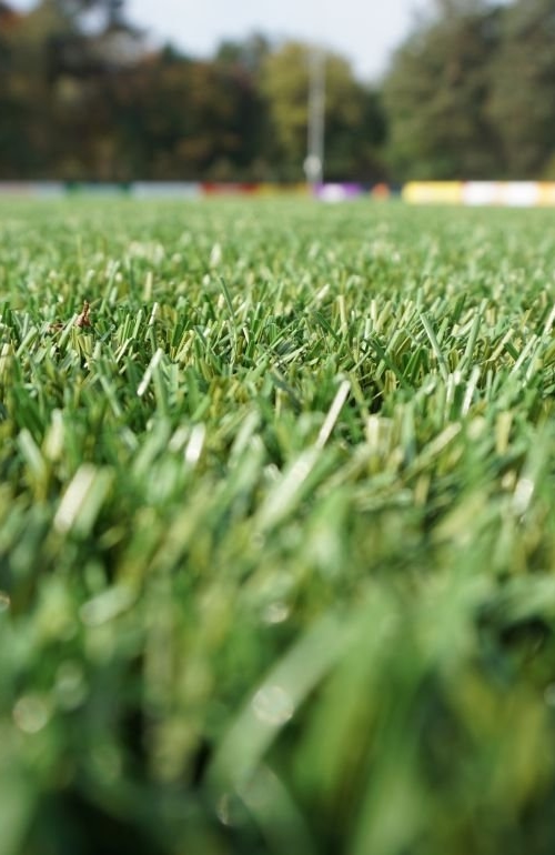 Football field - Artificial grass