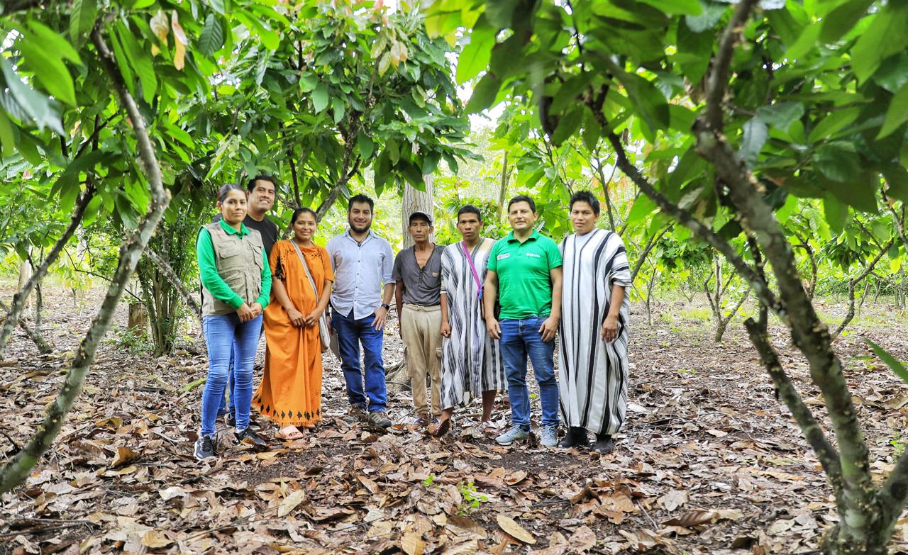 Grupo de personas de pie en un cultivo de árboles frutales, rodeadas de follaje verde en un terreno cubierto de hojas secas.