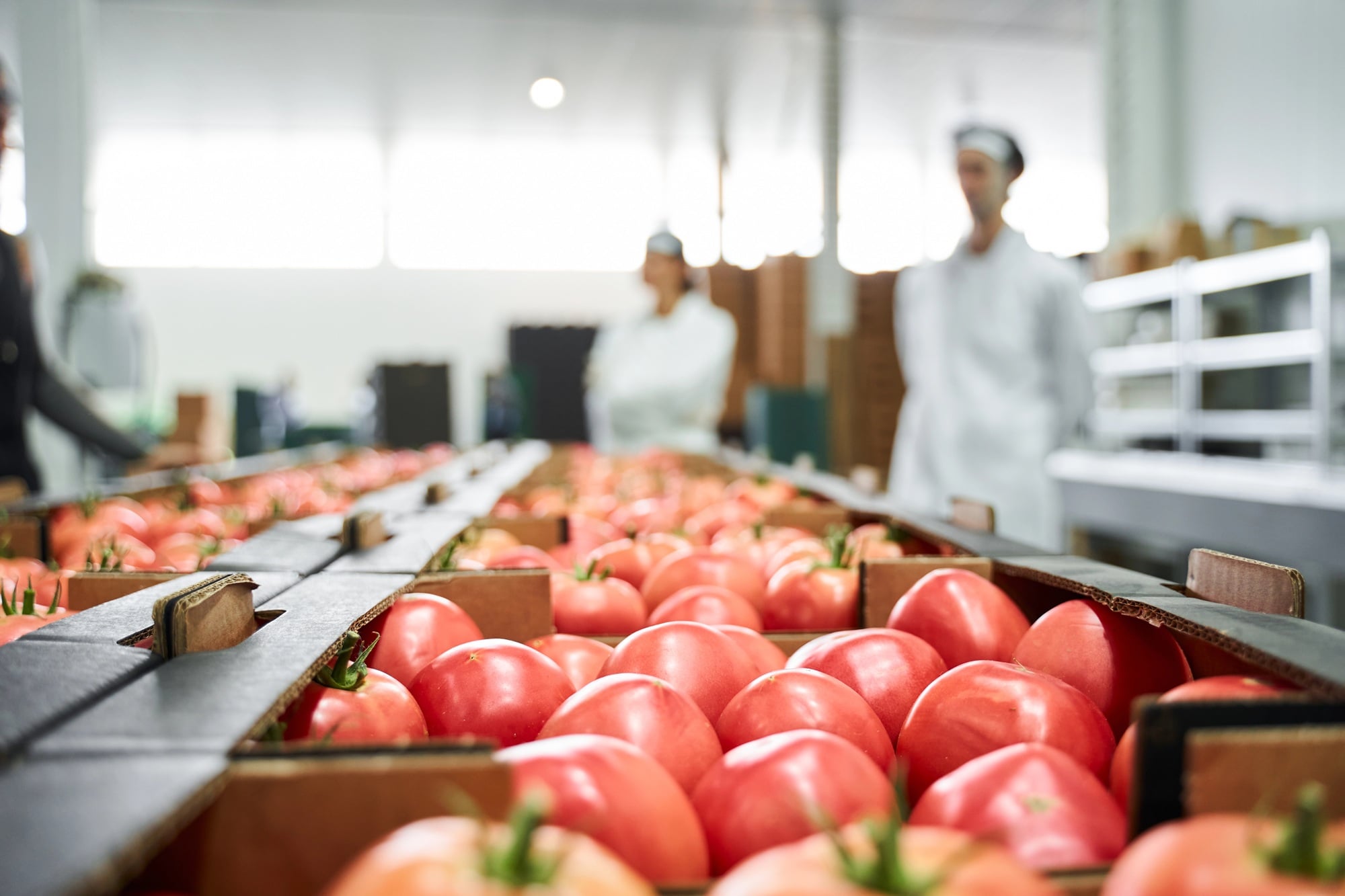 Apple in a factory