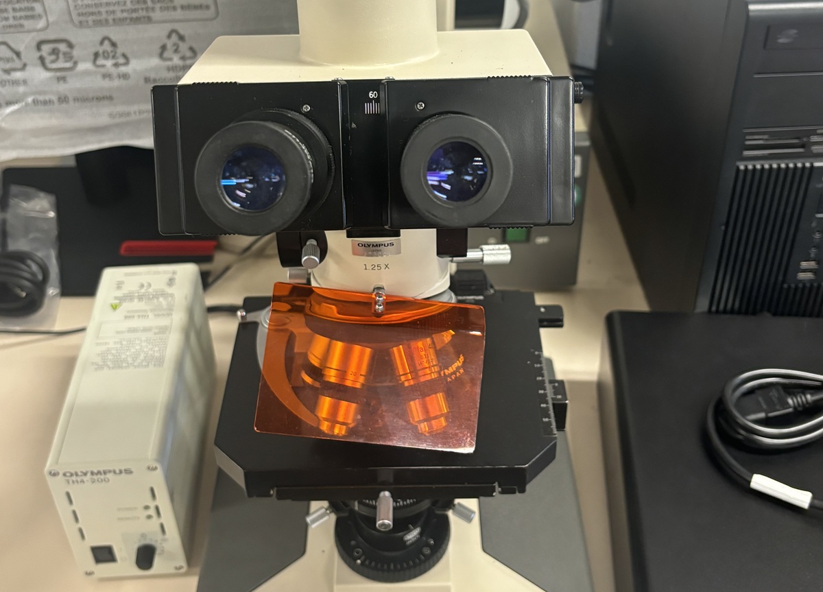 Fluorescentie Microscopie