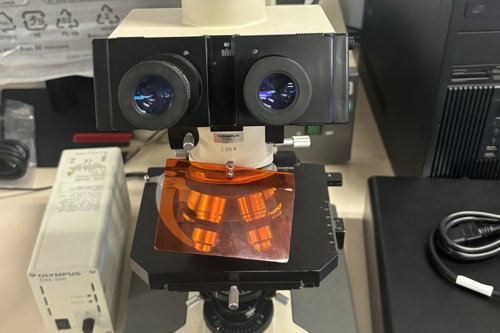 Fluorescentie Microscopie
