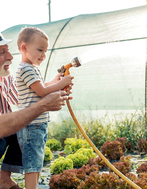 Sustainable agricultural entrepreneurship