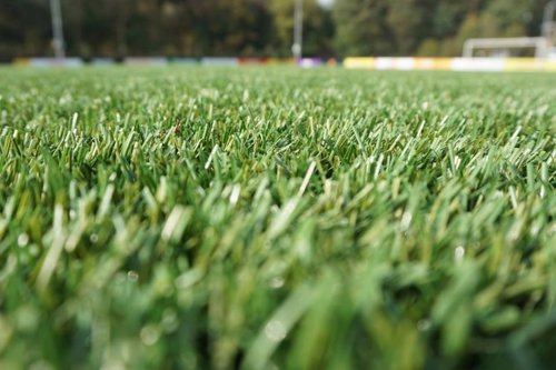 Groen grasveld op een voetbalveld met bomen op de achtergrond.