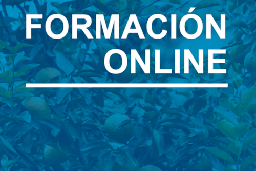 portada formación online CoC