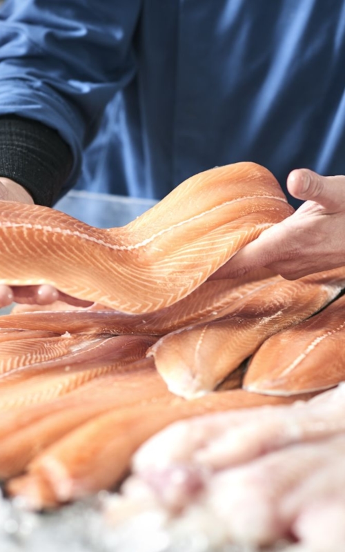 Fish sales