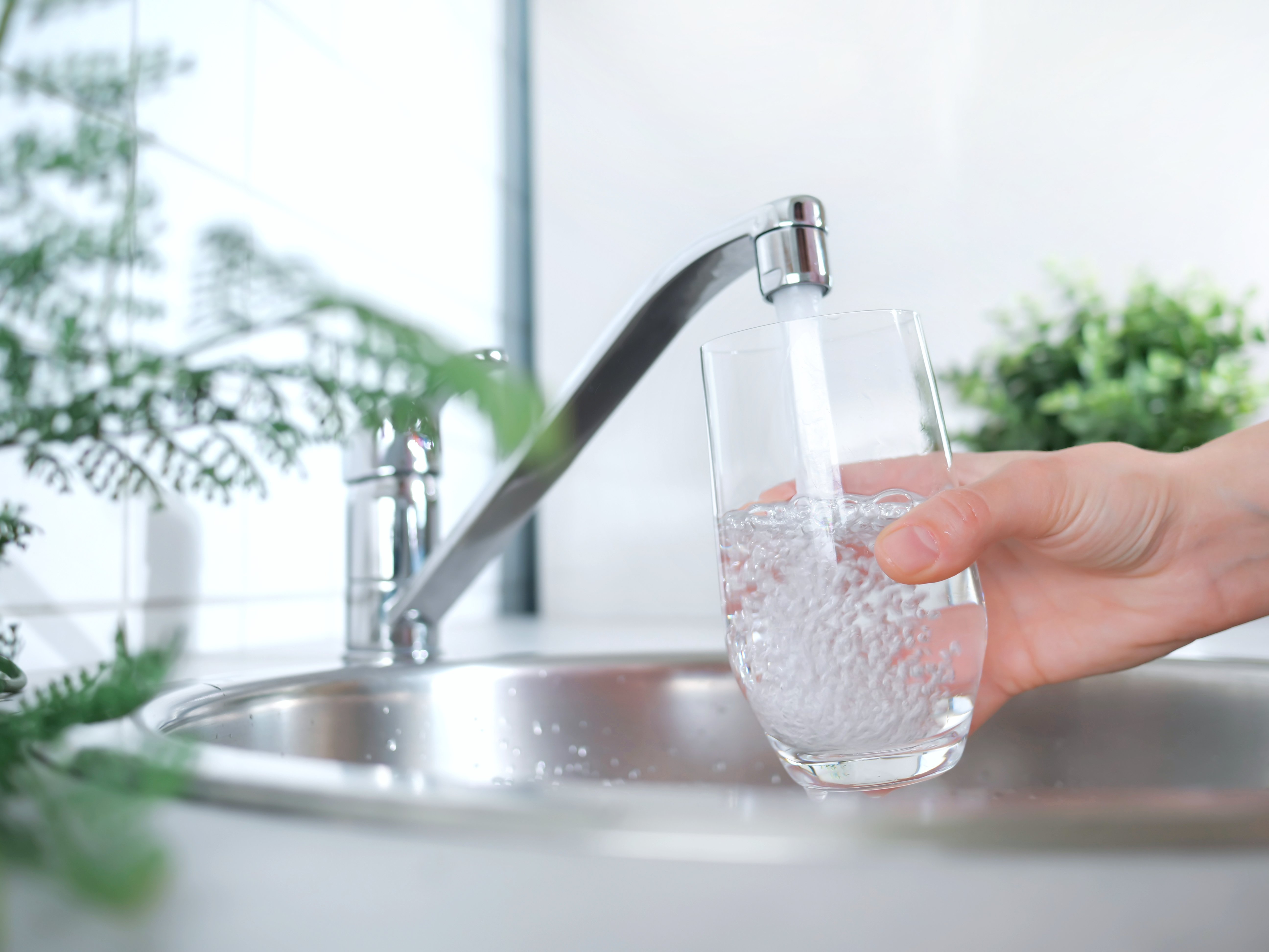 Drink water from the tap