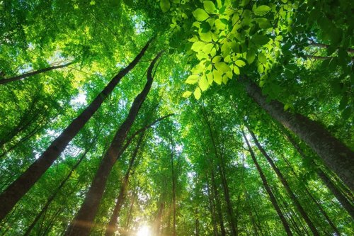 ISO 14001