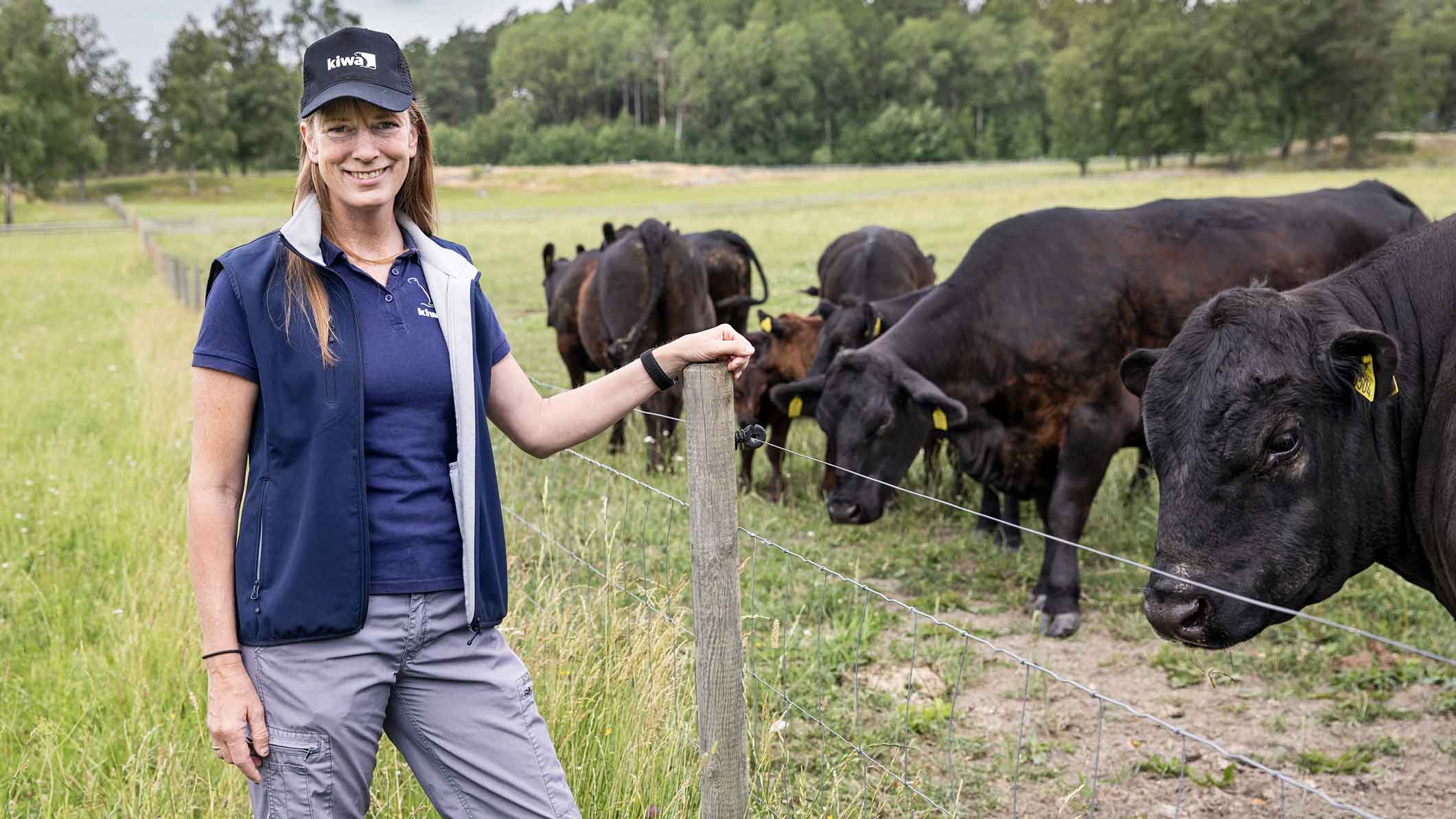 En kvinna i blå väst och keps står vid ett stängsel med svart boskap i en grön hage.